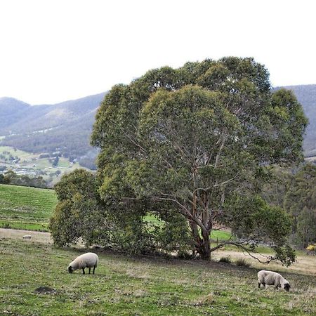 House On The Hill Bed And Breakfast Huonville Buitenkant foto